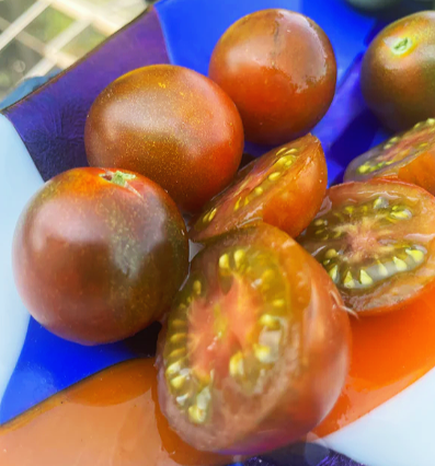 New for 2026 — Chicago Tomato Man